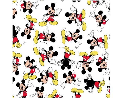 MICKEY